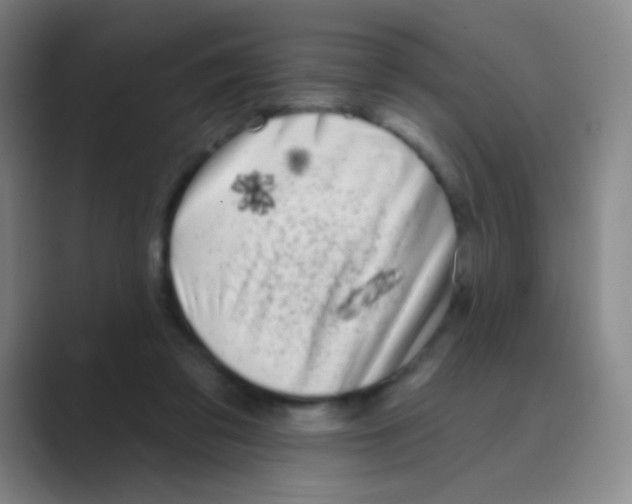 X0000088710309200706282049