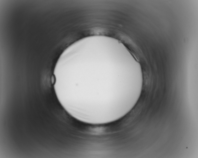 X0000088710313200706282048