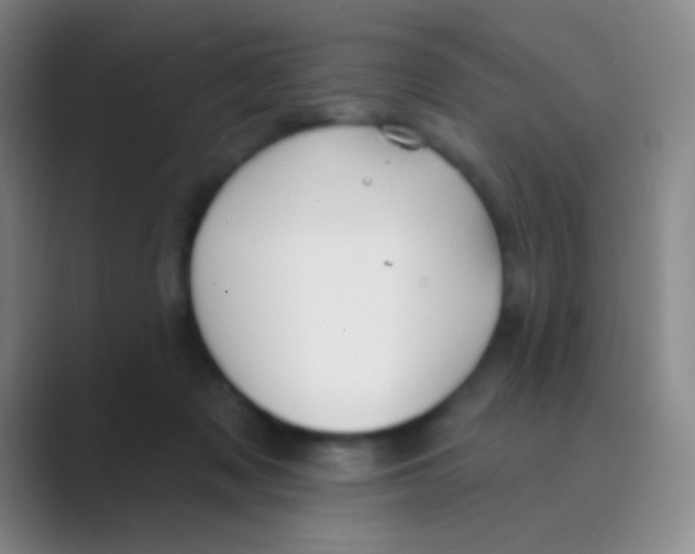 X0000088710317200706282048