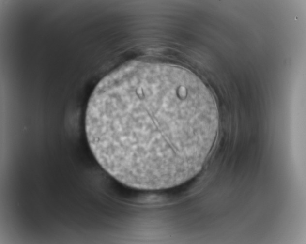 X0000088710319200706282048