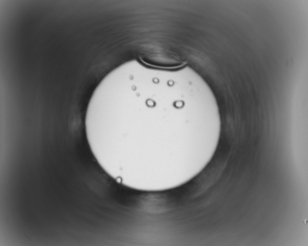 X0000088710320200706282048