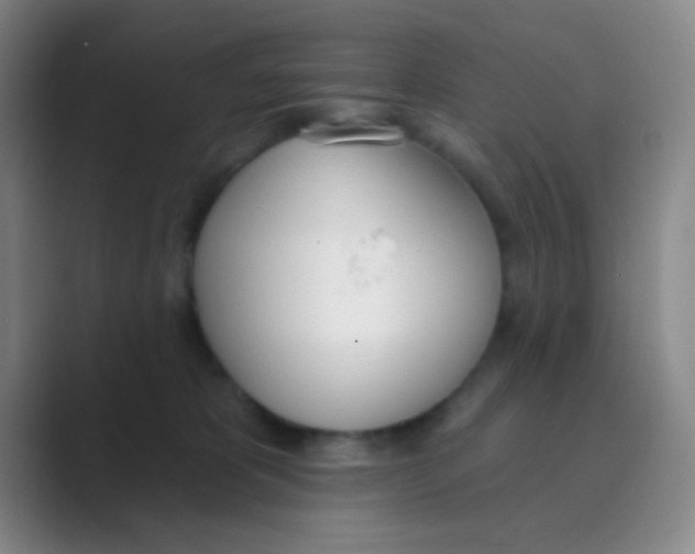 X0000088710325200706282048