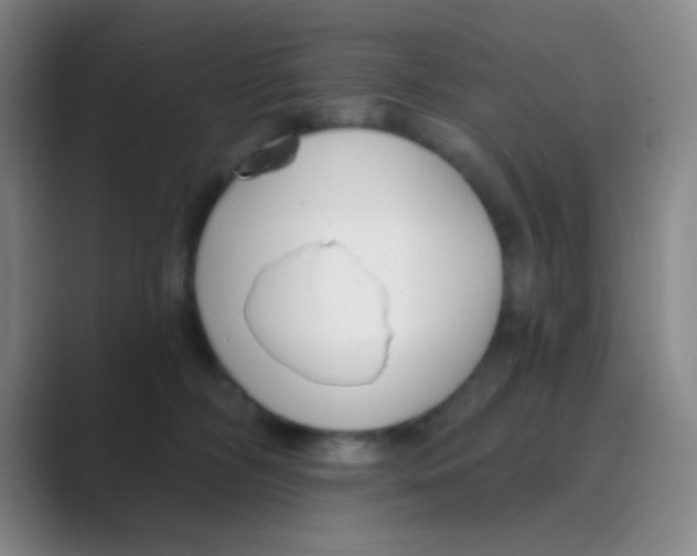 X0000088710326200706282048