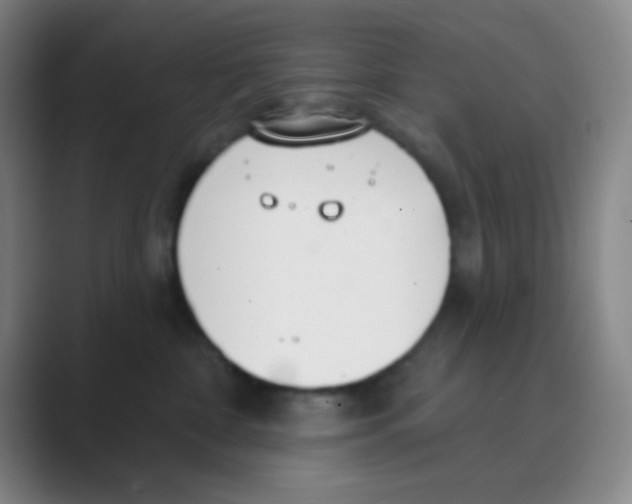 X0000088710332200706282048