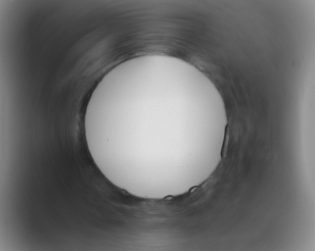 X0000088710338200706282048