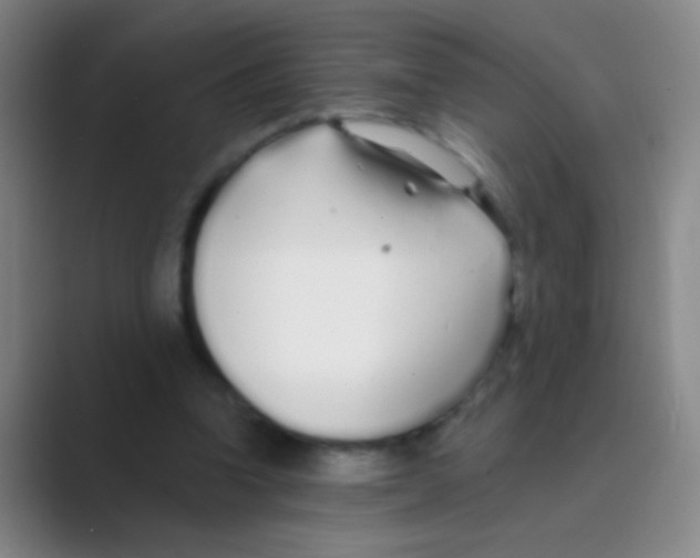 X0000088710346200706282048