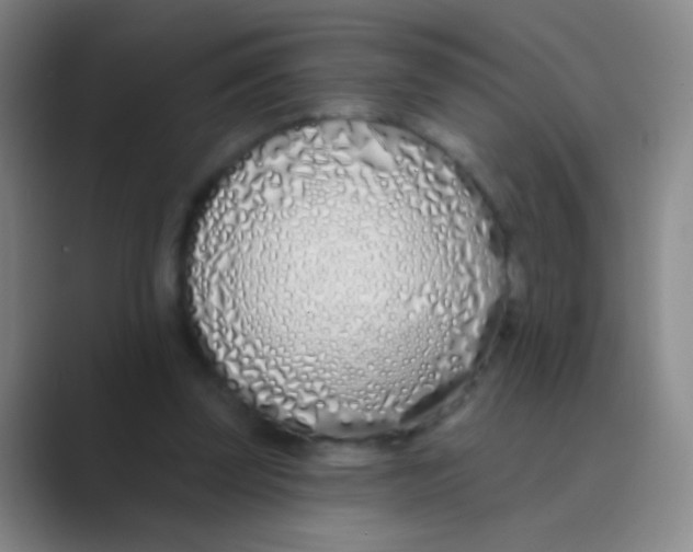 X0000088710347200706282048