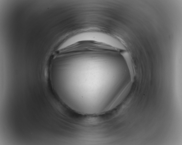 X0000088710350200706282048