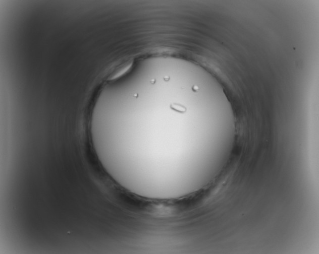 X0000088710352200706282048