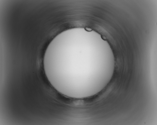 X0000088710355200706282048