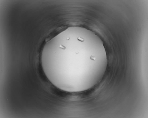 X0000088710356200706282048