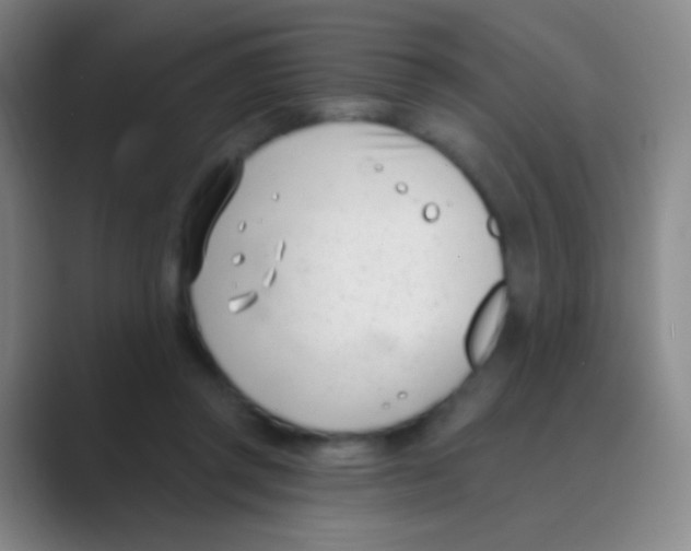 X0000088710357200706282048