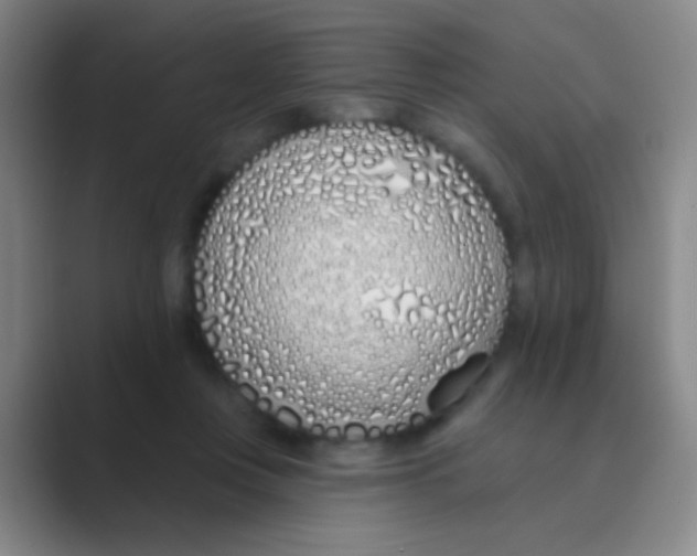 X0000088710359200706282048