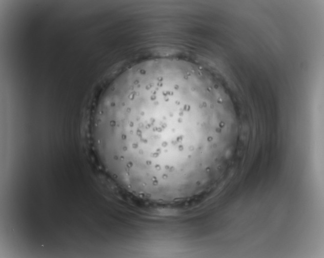 X0000088710360200706282048