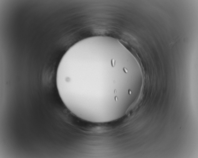 X0000088710364200706282048