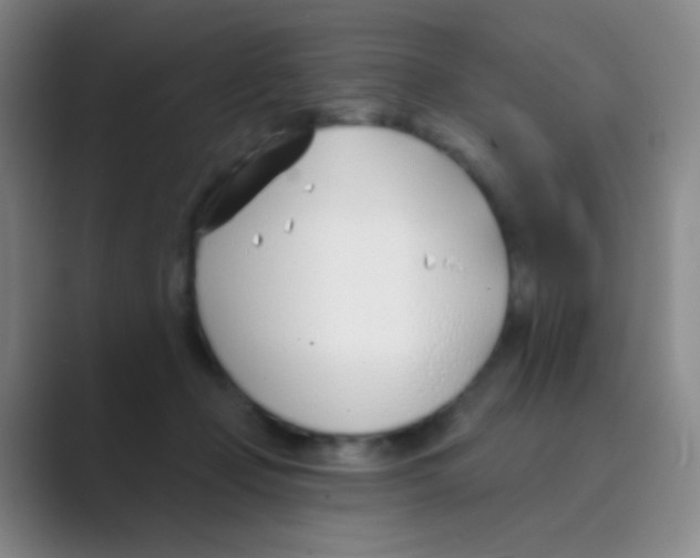 X0000088710365200706282048