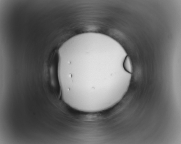 X0000088710366200706282048