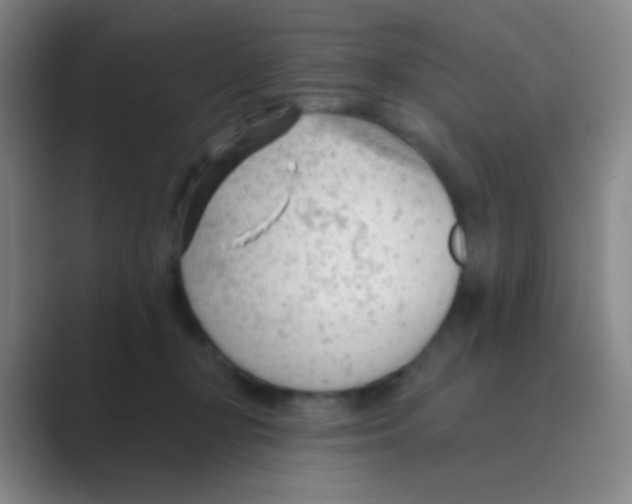 X0000088710367200706282048