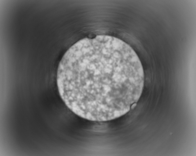 X0000088710369200706282048