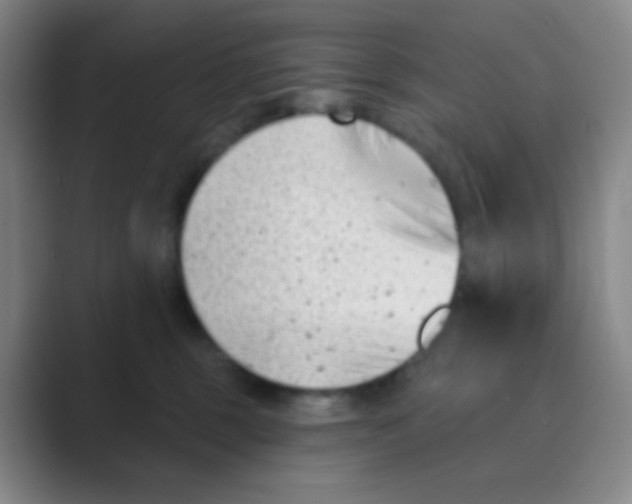 X0000088710375200706282048