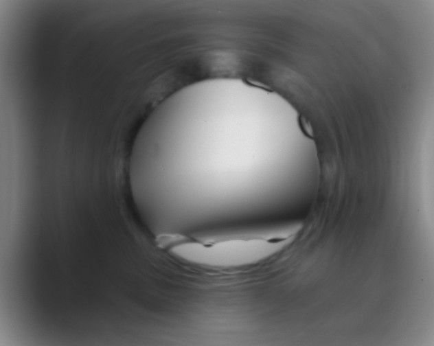 X0000088710379200706282048