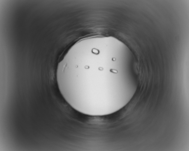 X0000088710380200706282048