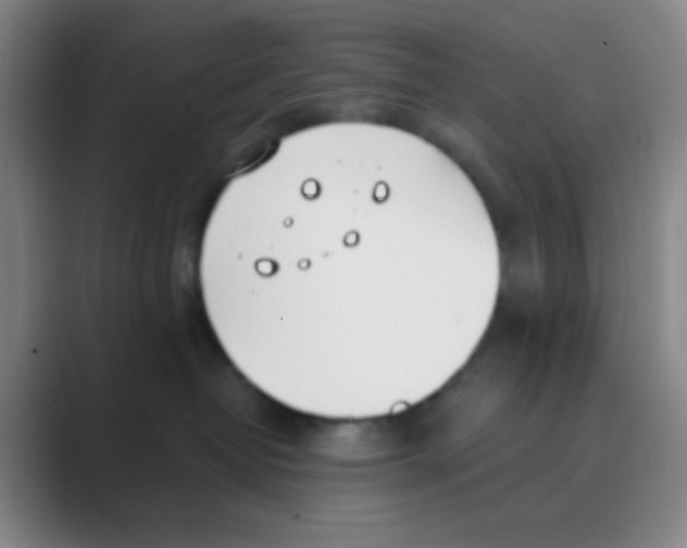 X0000088710382200706282048