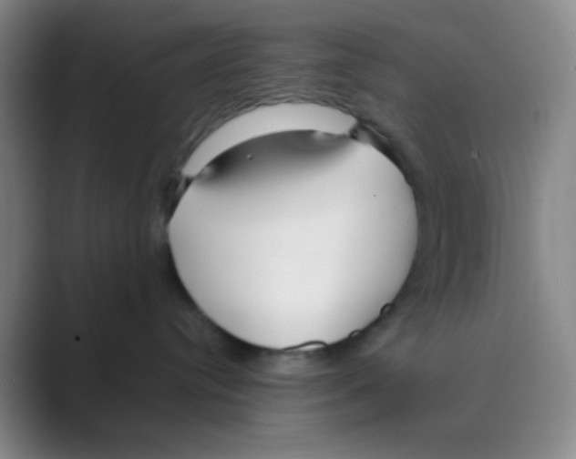 X0000088710384200706282048