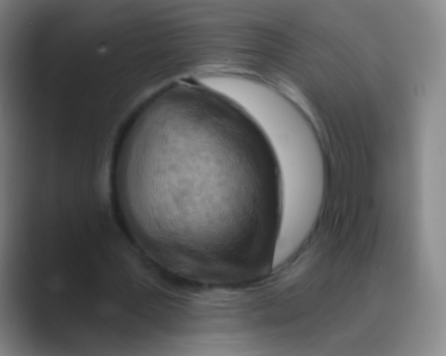 X0000088710387200706282047