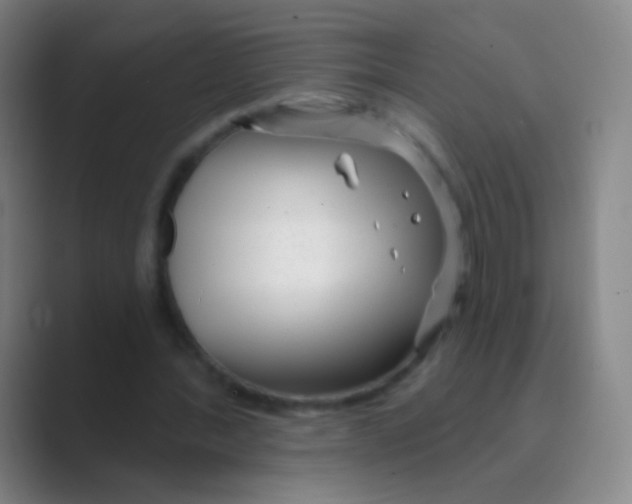 X0000088710388200706282047