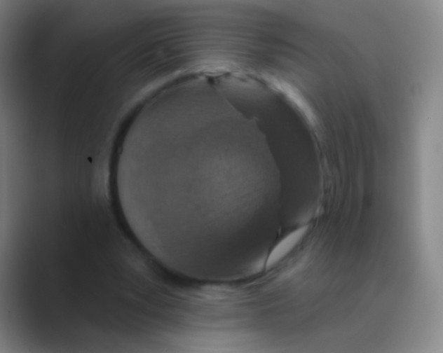 X0000088710391200706282047