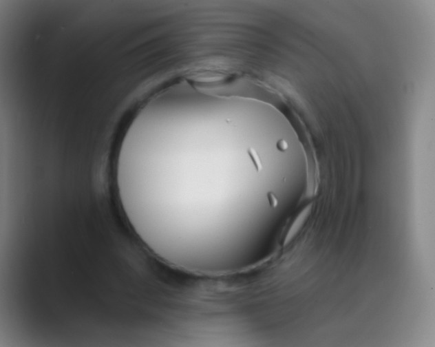 X0000088710392200706282047