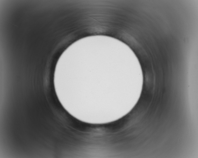 X0000088710396200706282047