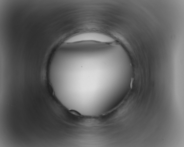 X0000088710399200706282047