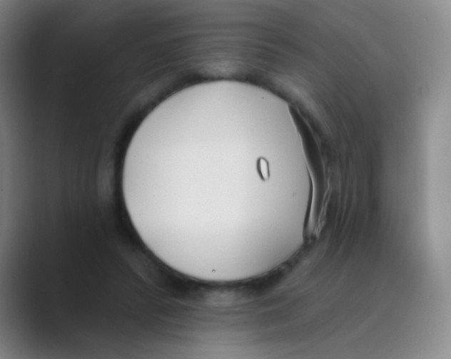 X0000088710400200706282047