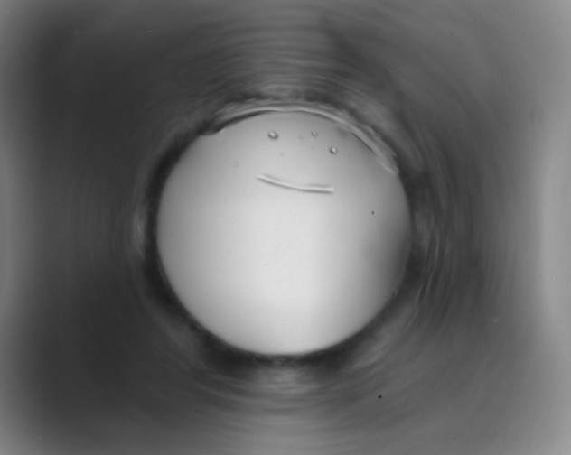 X0000088710404200706282047