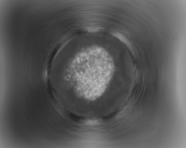 X0000088710405200706282047