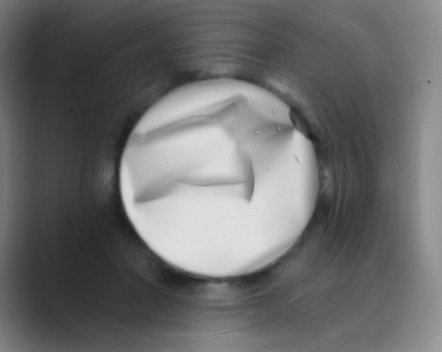 X0000088710406200706282047