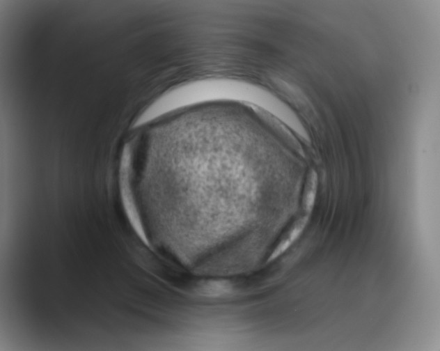 X0000088710409200706282047