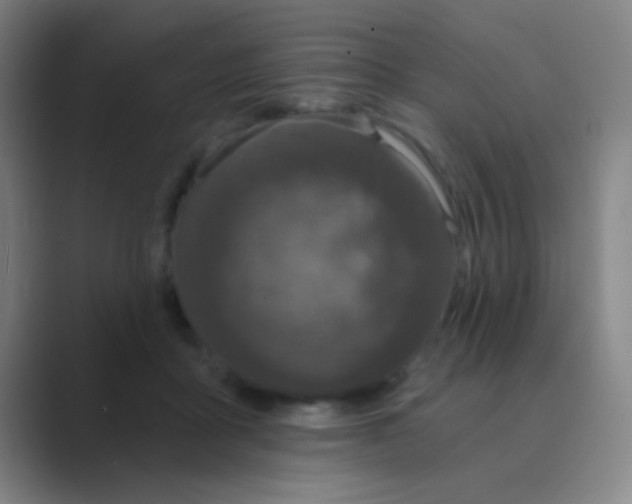 X0000088710411200706282047