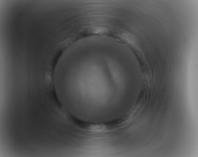 X0000088710415200706282047