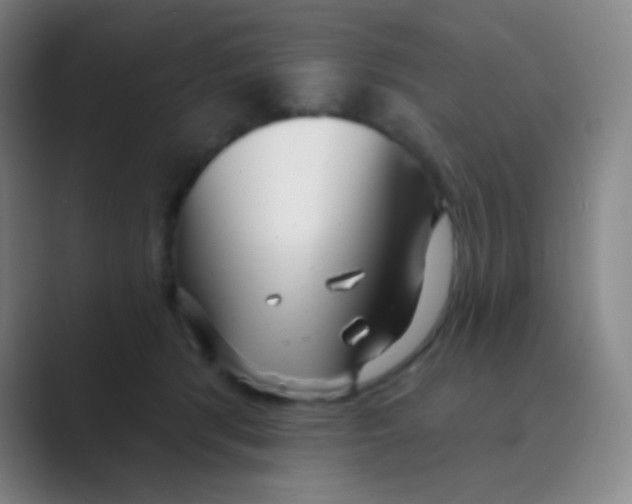 X0000088710416200706282047