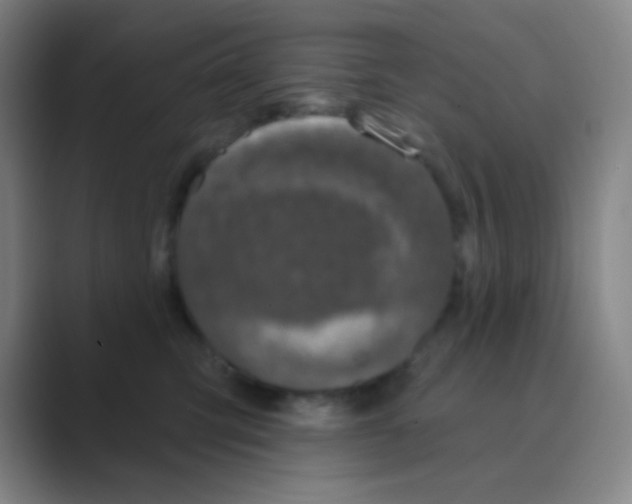 X0000088710423200706282047