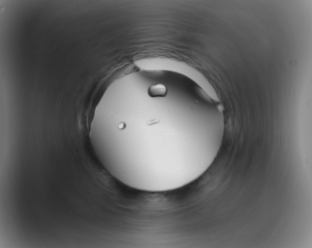 X0000088710424200706282047