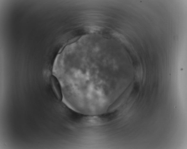 X0000088710427200706282047