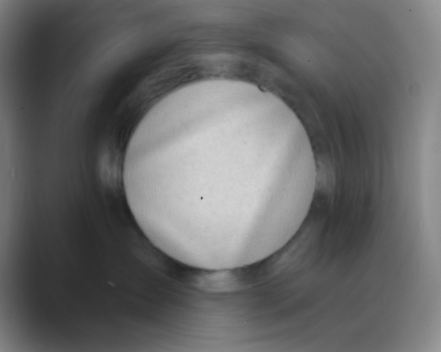 X0000088710431200706282047