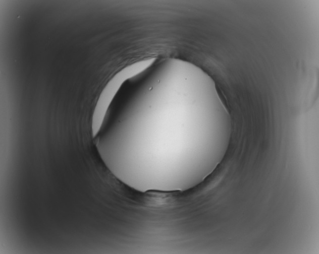 X0000088710432200706282047