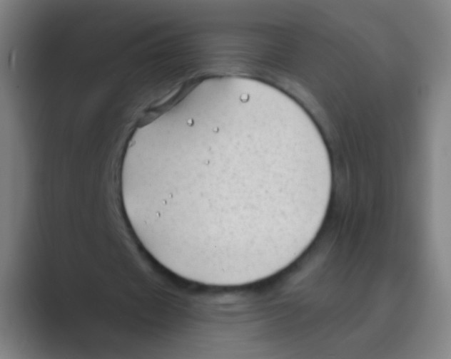 X0000088710433200706282046