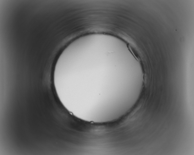 X0000088710438200706282046