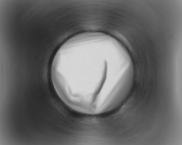 X0000088710439200706282046